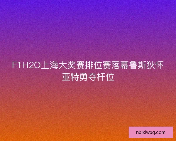 F1H2O上海大奖赛排位赛落幕鲁斯狄怀亚特勇夺杆位